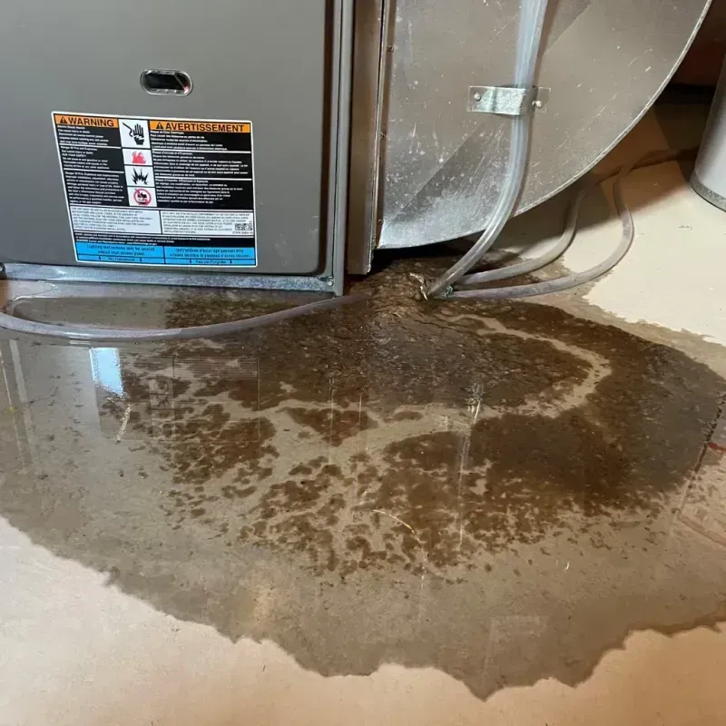 Appliance Leak Cleanup in Evergreen, AL